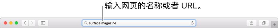 如何在Mac OS上使用Safari浏览器访问网站？